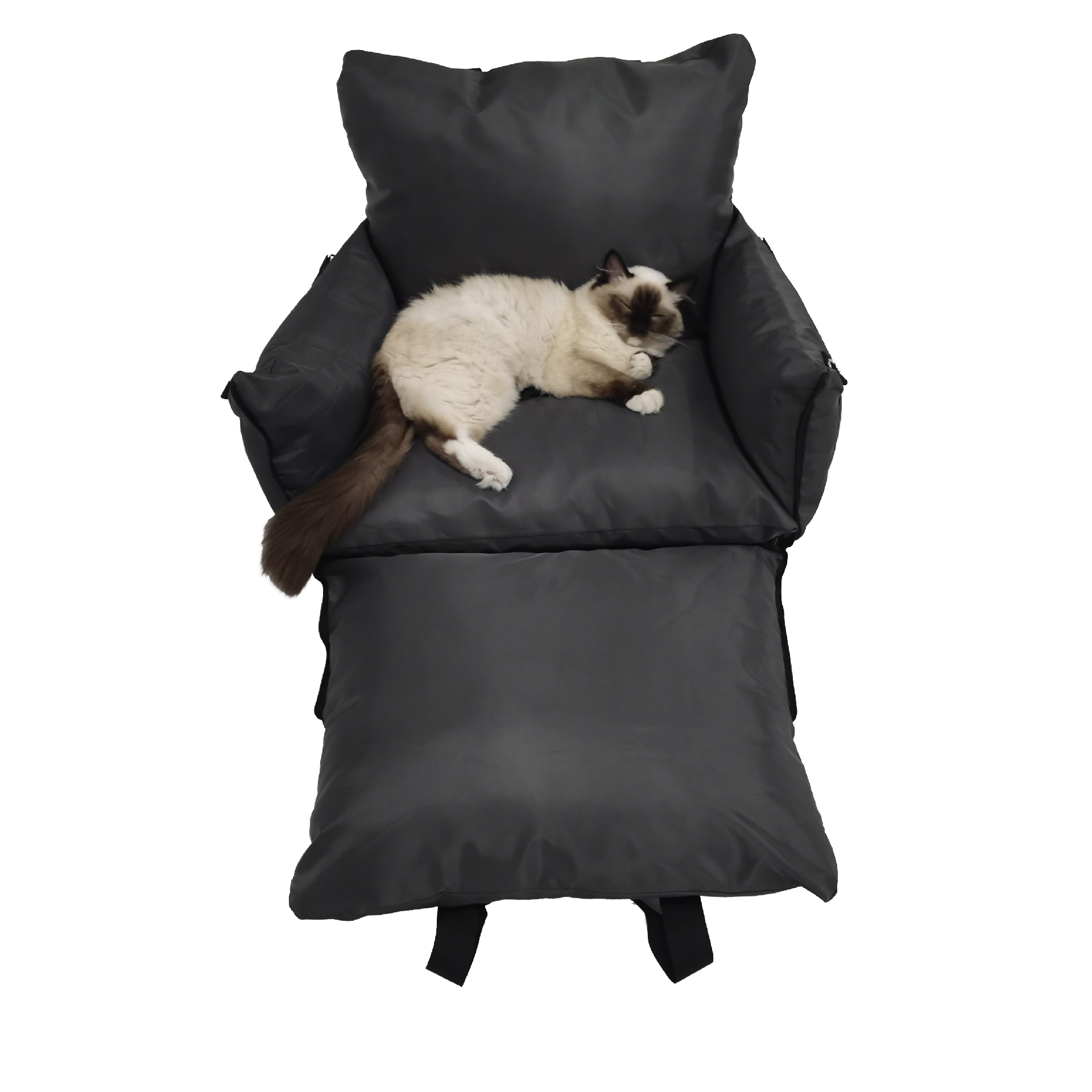Cat resting in a premium portable car seat — Feitu Pet