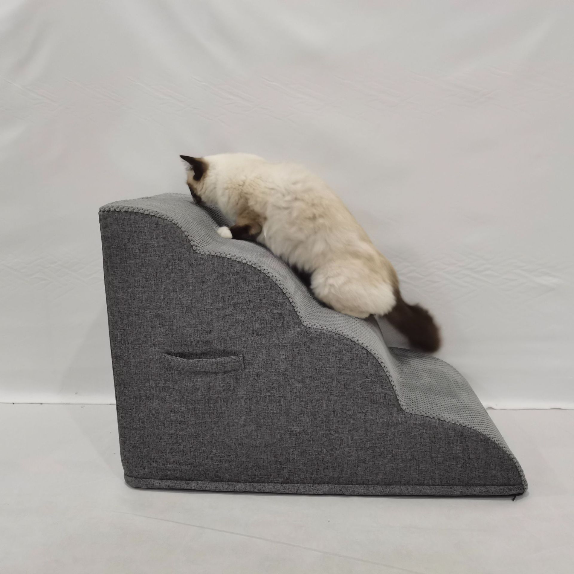 Pet Ramp — Gentle Slope view 3