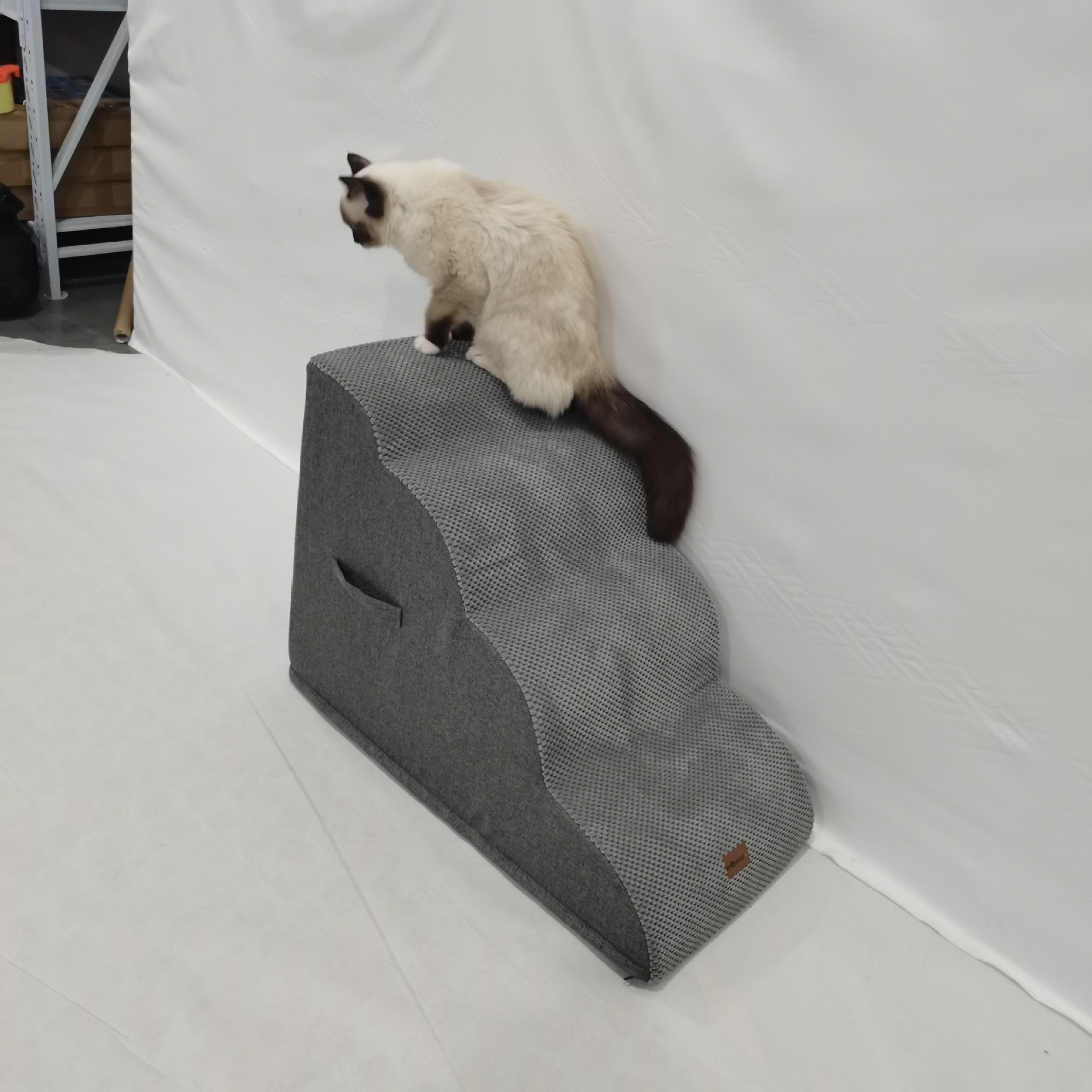 Pet Ramp — Gentle Slope view 4