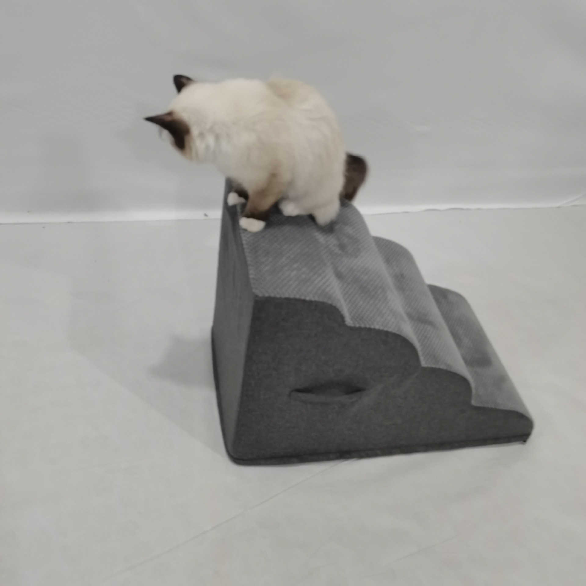 Pet Ramp — Gentle Slope view 5